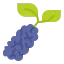 Berry ícono 64x64