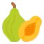 Papaya ícono 64x64