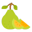 Fruit ícono 64x64
