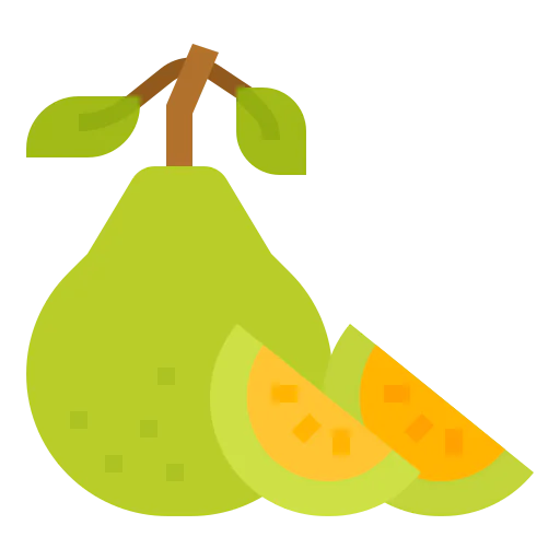Fruit icon