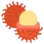 Rambutan ícono 64x64