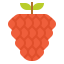 Raspberry ícono 64x64