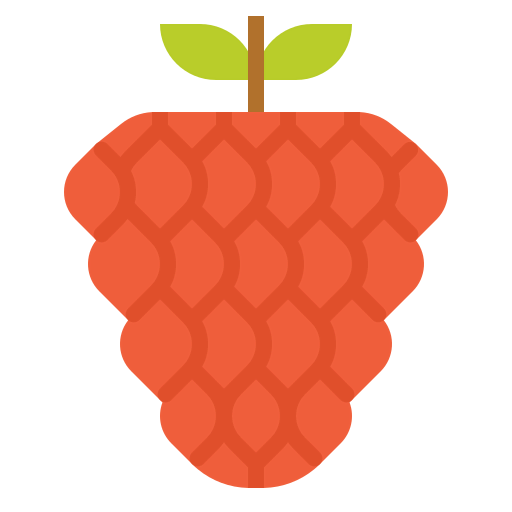 Raspberry ícono