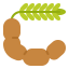 Tamarind ícono 64x64