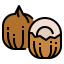 Coconut アイコン 64x64