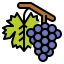 Grapes アイコン 64x64