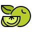 Lime アイコン 64x64