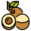 Fruit アイコン 64x64