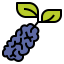 Berry アイコン 64x64