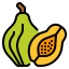 Papaya アイコン 64x64