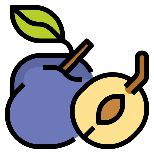 Plum 图标