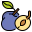 Plum アイコン 64x64