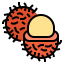 Rambutan アイコン 64x64