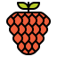 Raspberry ícono 64x64