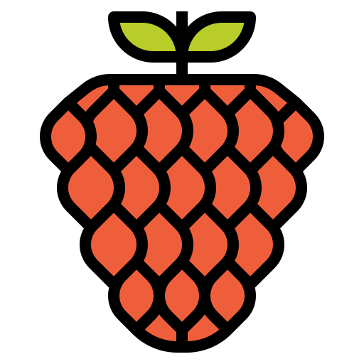 Raspberry アイコン