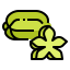 Starfruit アイコン 64x64