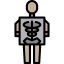 X ray icon 64x64