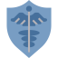 Shield icon 64x64