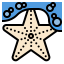 Starfish icon 64x64