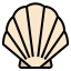 Seashell icon 64x64