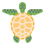 Turtle icon 64x64