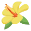 Hibicus icon 64x64