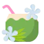 Coconuts icon 64x64