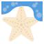Starfish icon 64x64