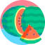 Watermelon icon 64x64