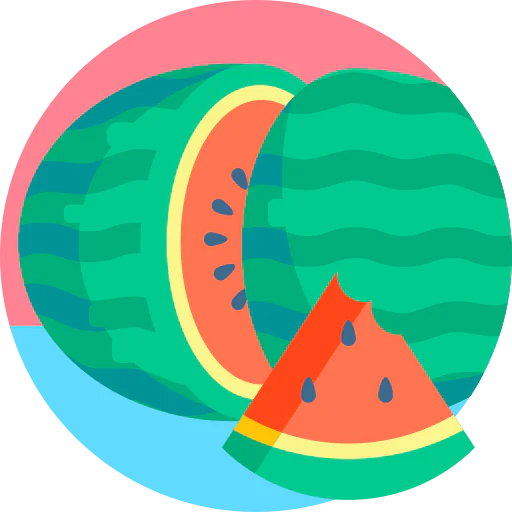 Watermelon icon