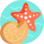 Starfish icon 64x64