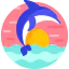 Dolphin icon 64x64