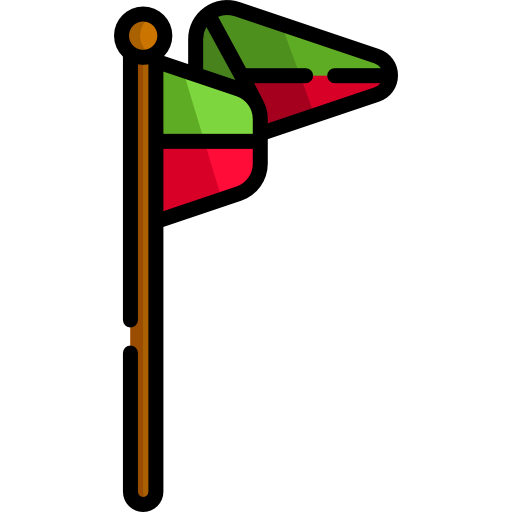 Flag icon