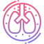 Lungs icon 64x64