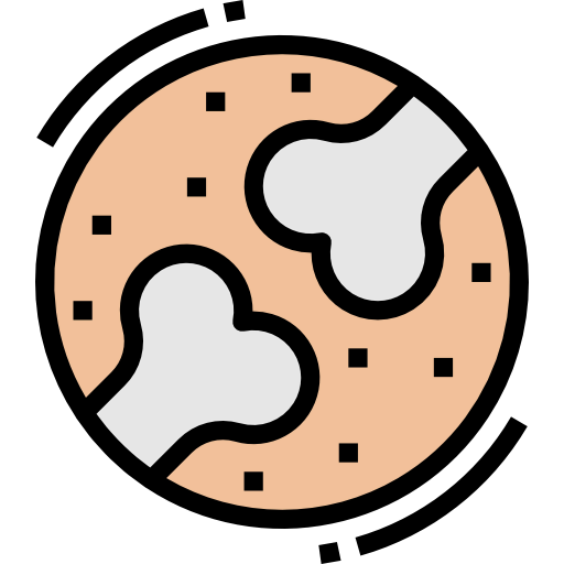 Bone icon