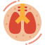 Lungs icon 64x64