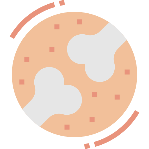 Bone icon