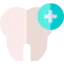 Premolar icon 64x64