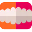 Denture icon 64x64