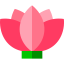 Lotus icon 64x64
