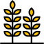 Wheat icon 64x64