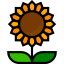 Sunflower icon 64x64