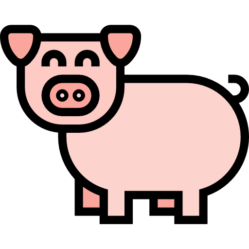 Pig icon