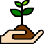Sprout icon 64x64