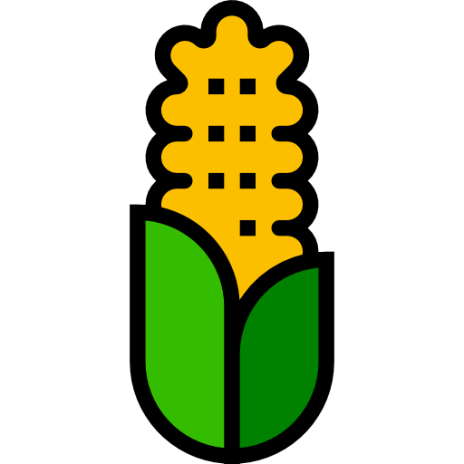 Corn icon