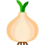 Onion icon 64x64