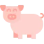 Pig icon 64x64