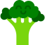 Broccoli icon 64x64