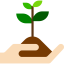 Sprout icon 64x64