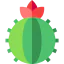 Cactus 상 64x64